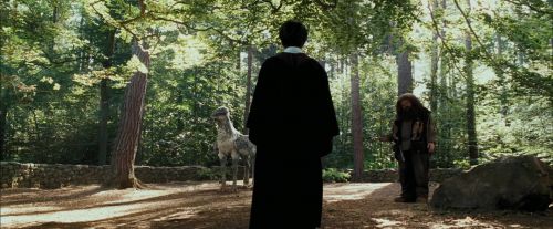 PdA-Potterish_2180.jpg