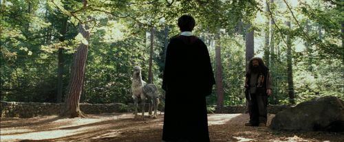 PdA-Potterish_2181.jpg
