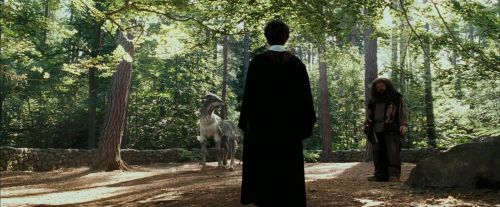 Click to view full size image
==============
PdA-Potterish_2182.jpg PdA-Potterish_2182.jpg