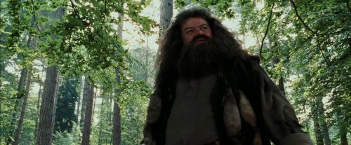 PdA-Potterish_2187.jpg