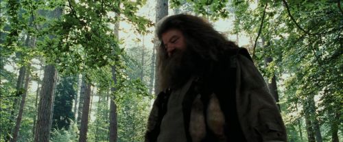 PdA-Potterish_2188.jpg