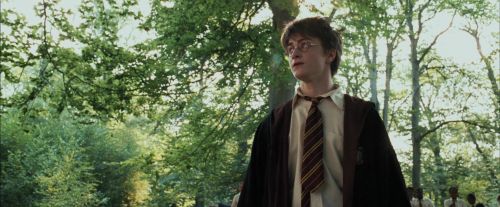 Click to view full size image
==============
PdA-Potterish_2192.jpg PdA-Potterish_2192.jpg