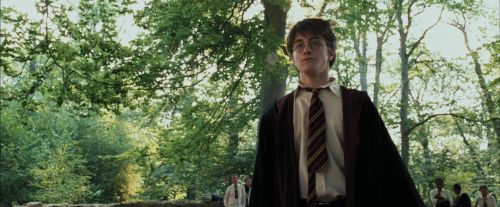 PdA-Potterish_2193.jpg