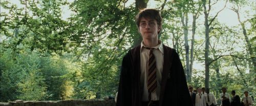 PdA-Potterish_2194.jpg