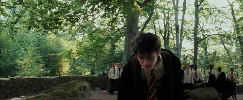 Click to view full size image
==============
PdA-Potterish_2196.jpg PdA-Potterish_2196.jpg
