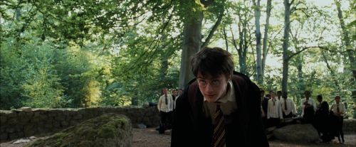 Click to view full size image
==============
PdA-Potterish_2197.jpg PdA-Potterish_2197.jpg