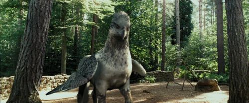 Click to view full size image
==============
PdA-Potterish_2198.jpg PdA-Potterish_2198.jpg