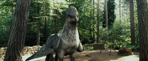 Click to view full size image
==============
PdA-Potterish_2199.jpg PdA-Potterish_2199.jpg