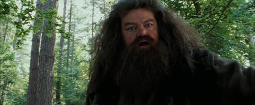 PdA-Potterish_2202.jpg