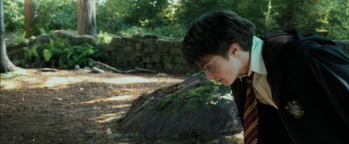 Click to view full size image
==============
PdA-Potterish_2206.jpg PdA-Potterish_2206.jpg
