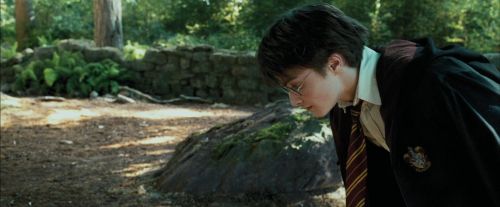 PdA-Potterish_2207.jpg