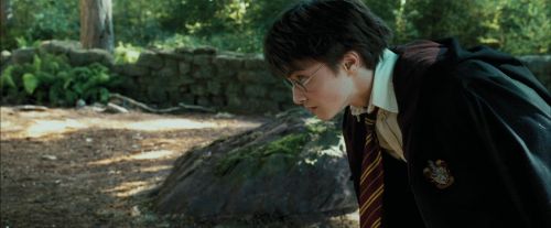 PdA-Potterish_2208.jpg