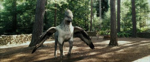 PdA-Potterish_2211.jpg