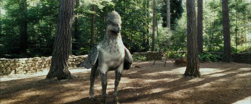 Click to view full size image
==============
PdA-Potterish_2212.jpg PdA-Potterish_2212.jpg