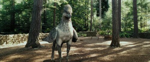 Click to view full size image
==============
PdA-Potterish_2213.jpg PdA-Potterish_2213.jpg