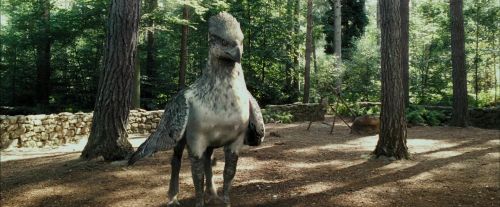 PdA-Potterish_2214.jpg