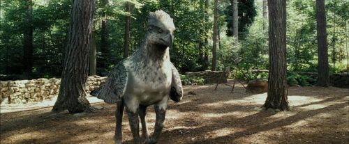 Click to view full size image
==============
PdA-Potterish_2215.jpg PdA-Potterish_2215.jpg