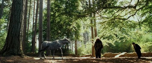 PdA-Potterish_2216.jpg