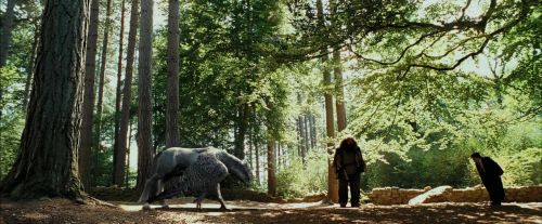 Click to view full size image
==============
PdA-Potterish_2218.jpg PdA-Potterish_2218.jpg