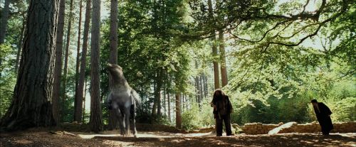 Click to view full size image
==============
PdA-Potterish_2223.jpg PdA-Potterish_2223.jpg
