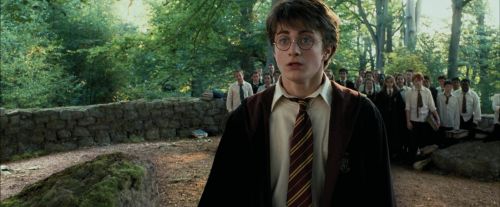 PdA-Potterish_2225.jpg