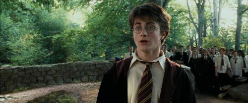 Click to view full size image
==============
PdA-Potterish_2226.jpg PdA-Potterish_2226.jpg