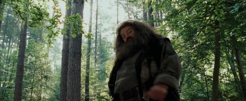 PdA-Potterish_2230.jpg