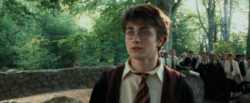 Click to view full size image
==============
PdA-Potterish_2233.jpg PdA-Potterish_2233.jpg