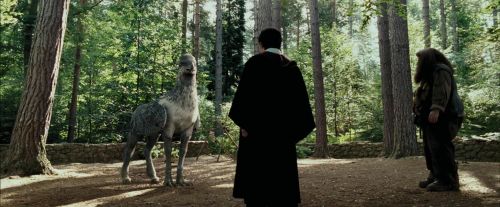 Click to view full size image
==============
PdA-Potterish_2240.jpg PdA-Potterish_2240.jpg