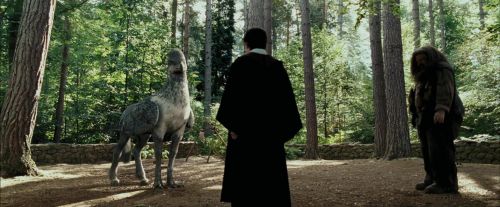 PdA-Potterish_2241.jpg