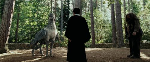PdA-Potterish_2242.jpg