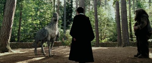 PdA-Potterish_2243.jpg