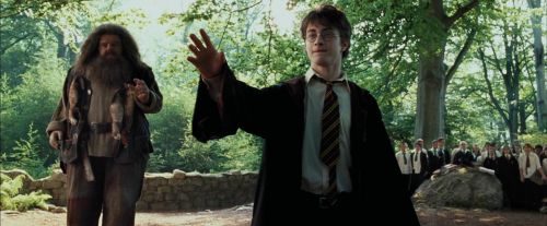 Click to view full size image
==============
PdA-Potterish_2245.jpg PdA-Potterish_2245.jpg