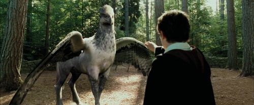 PdA-Potterish_2247.jpg