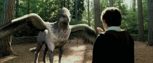 Click to view full size image
==============
PdA-Potterish_2248.jpg PdA-Potterish_2248.jpg