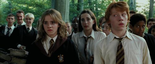 PdA-Potterish_2254.jpg