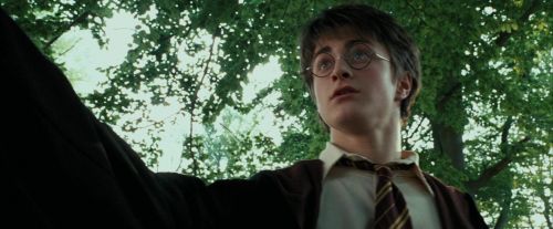Click to view full size image
==============
PdA-Potterish_2255.jpg PdA-Potterish_2255.jpg