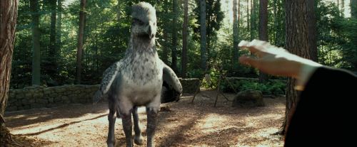 Click to view full size image
==============
PdA-Potterish_2258.jpg PdA-Potterish_2258.jpg