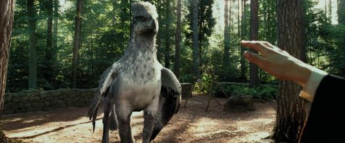 PdA-Potterish_2259.jpg