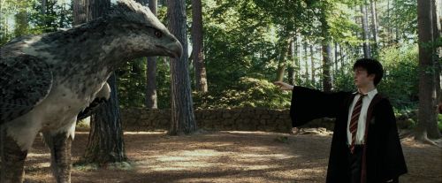 PdA-Potterish_2264.jpg