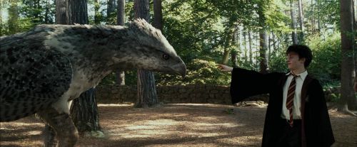 Click to view full size image
==============
PdA-Potterish_2265.jpg PdA-Potterish_2265.jpg