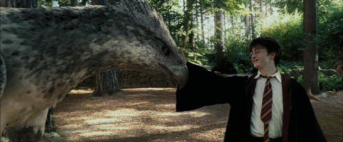 Click to view full size image
==============
PdA-Potterish_2268.jpg PdA-Potterish_2268.jpg