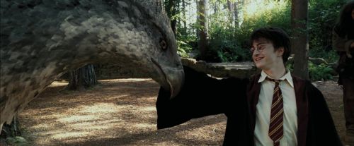 PdA-Potterish_2269.jpg