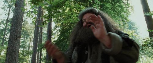 PdA-Potterish_2271.jpg