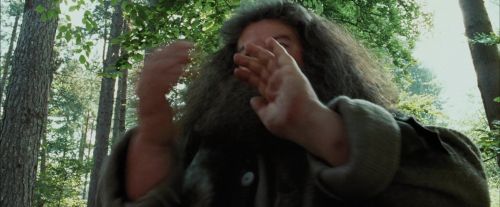 PdA-Potterish_2273.jpg