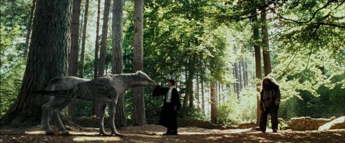 Click to view full size image
==============
PdA-Potterish_2276.jpg PdA-Potterish_2276.jpg