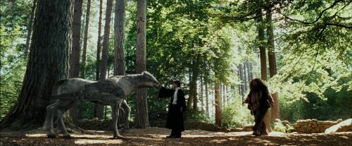 PdA-Potterish_2277.jpg