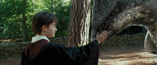 PdA-Potterish_2278.jpg