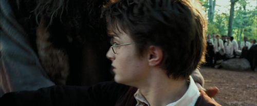 Click to view full size image
==============
PdA-Potterish_2279.jpg PdA-Potterish_2279.jpg