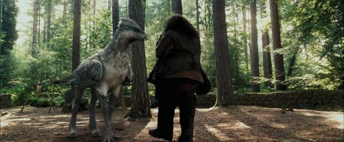 Click to view full size image
==============
PdA-Potterish_2281.jpg PdA-Potterish_2281.jpg